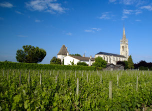 Vue du vignoble de Pomerol