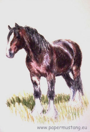 Shire, Pastell, 1998