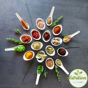 épices aromates cuisine consultation