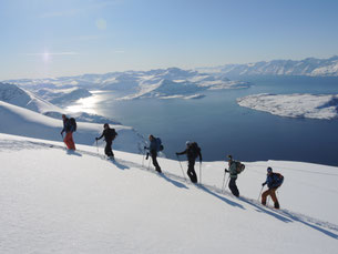 Skitouren Norwegen mit Bergführer, Bergführer Lungau, Skitouren Lyngen mit Bergführer, geführte Skitouren in Norwegen, geführte Skitouren in Lyngen, guided skitours in lyngen, guided skitours in norway, mountainguide, skiguide, local guide, klaus gruber