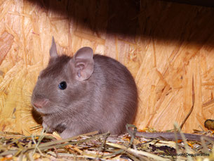 Foto von: Melanie Nickel