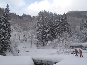 林道を進みます。平年の半分くらいの積雪か?