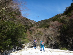 沢に下りたところから本谷ルートが始まります。
