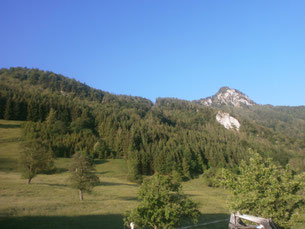 Der Schoberstein
