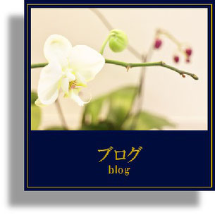 横浜の美容室キュライヘアーのブログ。スタイリストやヘアサロンスタッフが日々思うこと。東横線沿線でいい美容室をお探しなら！