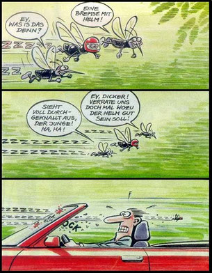 denkt dran: Immer mit Helm!!!