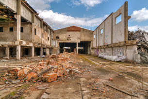 Brick Factory "City Forest"
