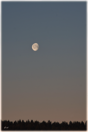 Früh am Morgen lächelt mich der Mond noch von einem wolkenlosen Himmel an