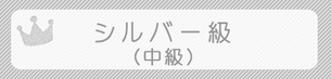 2年目：シルバー級
