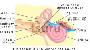 耳閉感に鍼は有効です