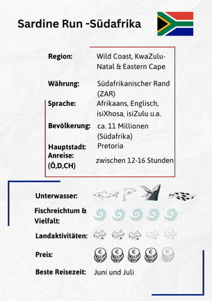 Tauchreise Sardine Run Südafrika