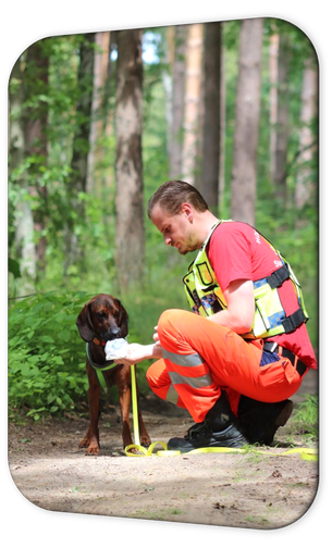 Scout beim Anriechen einer Geruchskopie