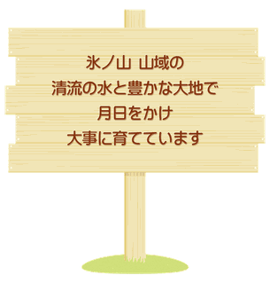 氷ノ山山域の清流の水と豊かな大地で月日をかけ大事に育てています