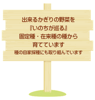 出来るかぎりの野菜を『いのちが巡る』固定種・在来種の種から育てています（種の自家採種にも取り組んでいます）