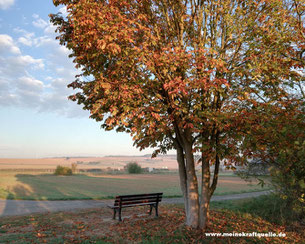 Kraftquelle, Auszeit im Paradies, Herbstbeginn, Baum mit Bank, Herbst in der Wetterau, Herbstmagie