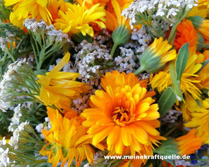 Kraftquelle, Auszeit im Paradies, Herbstbeginn, Rhein, Rheinfels, Herbst am Rhein