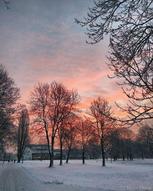 Morgenstimmung auf dem Campus. (C) Foto: Marie Plesse