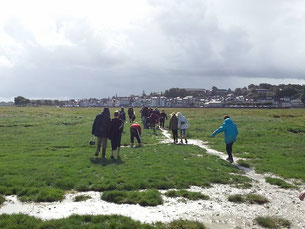 traversée de la baie de somme avec des colégiens
