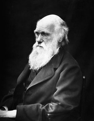 Der britische Naturforscher Charles Robert Darwin (1809-1882) wurde vor allem durch eine Evolutionstheorie bekannt und hat die Wissenschaft bis zum heutigen Tag geprägt.