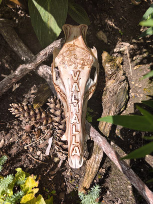 Von Hand gestalteter Wildschweinschädel mit Gullinborsti, der Rune Fehu und nordischer Ornamentik.