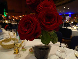 Frühlingsball/ Spring ball. Photo: Men’s Individual Fashion.