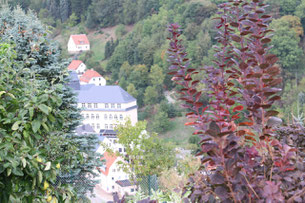 Glashütte. Photo: Men's Individual Fashion.