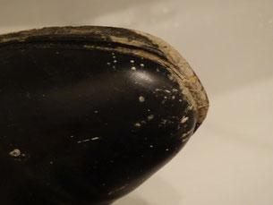 Schuh vor der Reinigung/ Shoe before cleaning. Photo: Men’s Individual Fashion.
