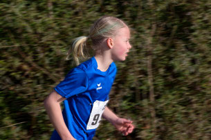 KM Crosslauf 2026