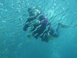 Baja California, Mexiko, Foto: Wolfgang Kruder