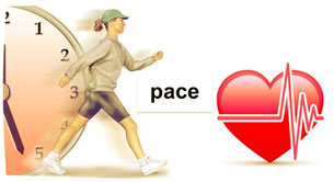 running or walking? - Virtual Personal Trainer