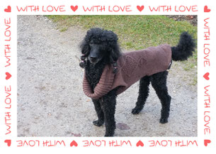 For Monty with all my love