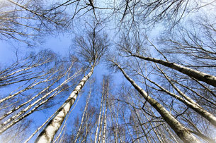 Fokussiert in die Höhe wachsen – oder breit vernetzt? Sie entscheiden!