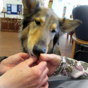 Frankas besondere Eignung als Co-Coach?  Viel Empathie und Fingerspitzengefühl im Umgang mit komplexen Situationen