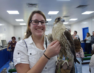 Abu Dhabi Falcon Hospital