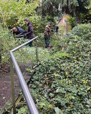Verborgenen Weg freilegen