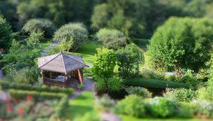 Jardin "aux 4 mains". (Photo des Propriétaires)