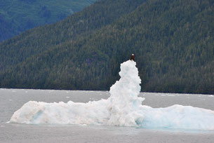Gletscher bootstour Alaska