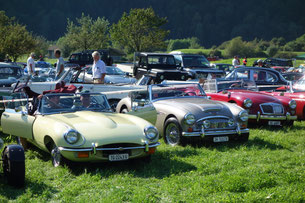 Austin Healey Golden Beige