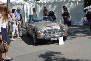 Austin Healey Golden Beige