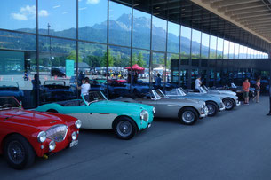 Austin Healey Golden Beige