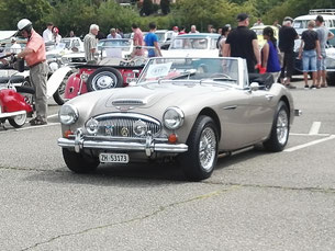Austin Healey Golden Beige