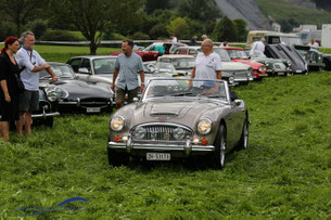 Austin Healey Golden Beige