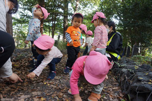 公園でドングリを拾う子ども達