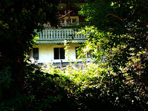 seppenhof in bad heilbrunn, hof im somme, blick auf das haus durch büsche hindurch