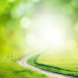 Weg im Grünen ins Licht