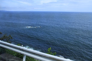 相模湾沿いを箱根方面に向かう