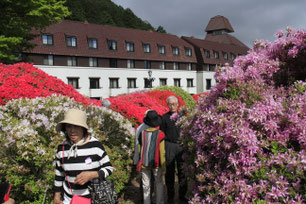 山のホテルでつつじ観賞⑥