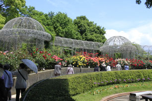 小田原フラワーガーデン①