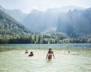 Badegäste im klaren Wasser des Traunsees vor steiler Felskulisse und alpiner Landschaft im Salzkammergut