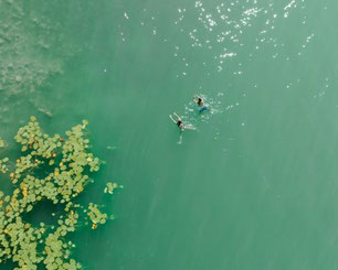 Luftaufnahme von Schwimmern im türkisfarbenen See im Salzkammergut